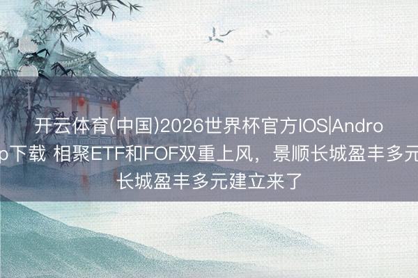 开云体育(中国)2026世界杯官方IOS|Android手机app下载 相聚ETF和FOF双重上风，景顺长城盈丰多元建立来了