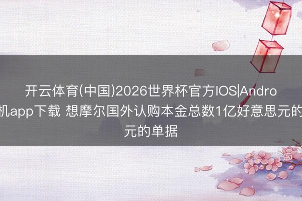 开云体育(中国)2026世界杯官方IOS|Android手机app下载 想摩尔国外认购本金总数1亿好意思元的单据