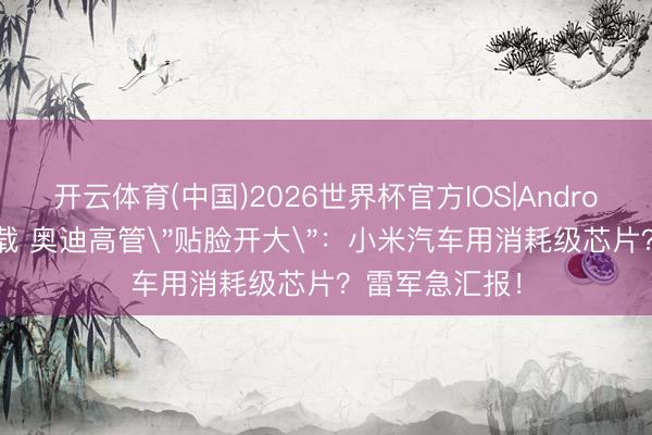 开云体育(中国)2026世界杯官方IOS|Android手机app下载 奥迪高管