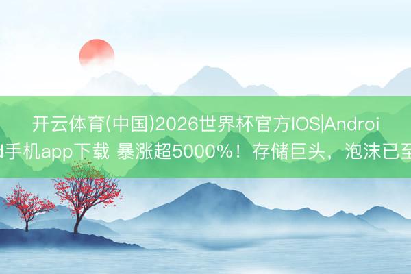 开云体育(中国)2026世界杯官方IOS|Android手机app下载 暴涨超5000%！存储巨头，泡沫已至