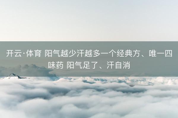 开云·体育 阳气越少汗越多一个经典方、唯一四味药 阳气足了、汗自消