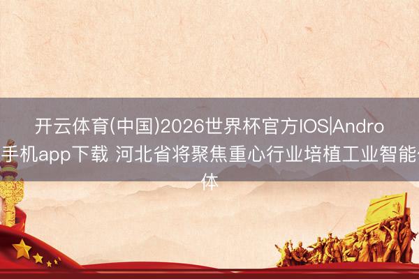 开云体育(中国)2026世界杯官方IOS|Android手机app下载 河北省将聚焦重心行业培植工业智能体