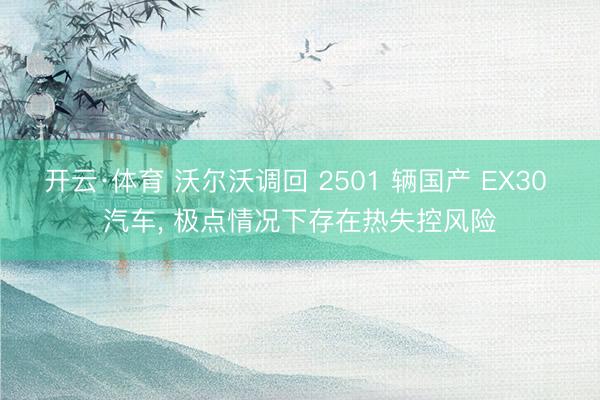 开云·体育 沃尔沃调回 2501 辆国产 EX30 汽车, 极点情况下存在热失控风险